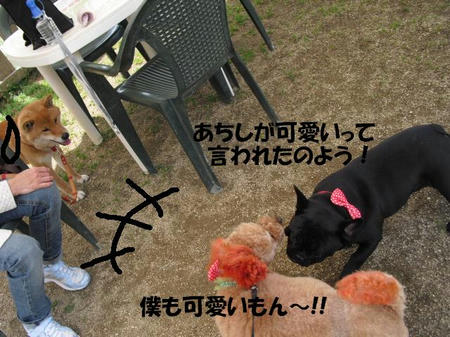 1c007015.jpg