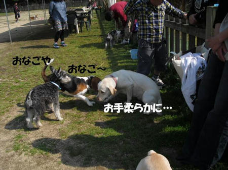 9f3a6e10.jpg