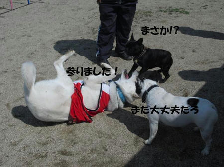 c43f78d5.jpg