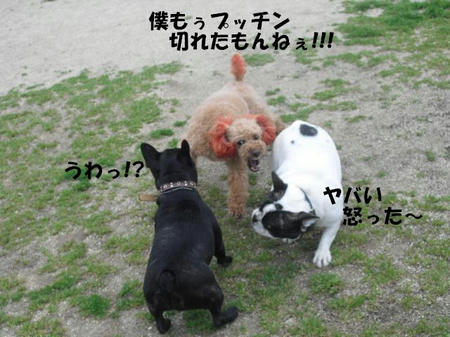 a606424f.jpg