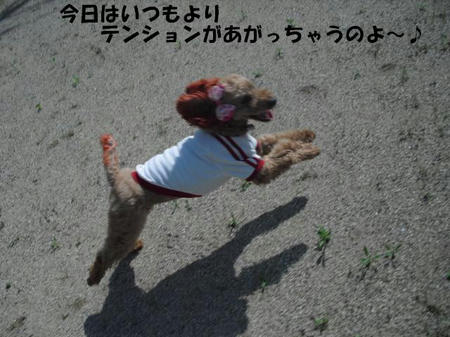 1c23ff9a.jpg