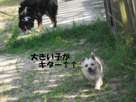 1738b04f.jpg