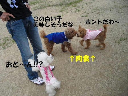 b8863b3a.jpg