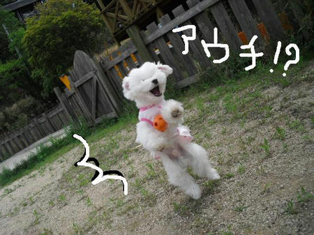 08a864d3.jpg