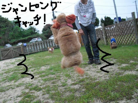 95c587f0.jpg