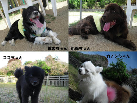 6d9a362f.JPG