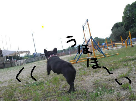 24e69218.jpg