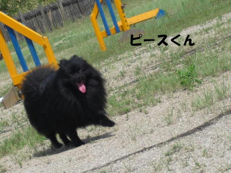 0c572fcf.jpg