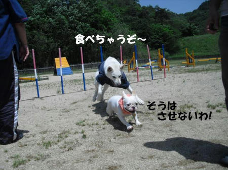 7a752b8a.jpg