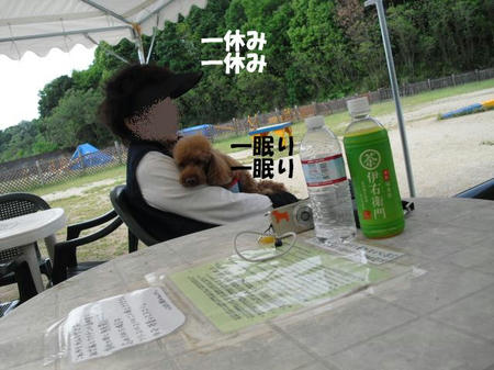 d07f5d3f.jpg