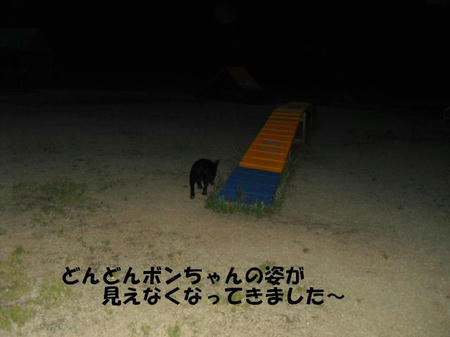 52a16a3c.jpg