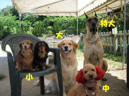 f34333be.jpg