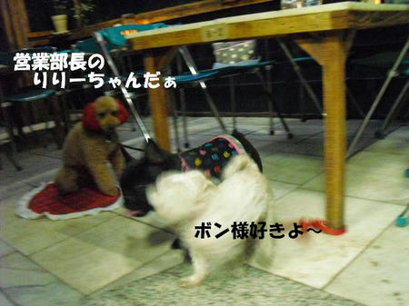 9ca7465d.jpg