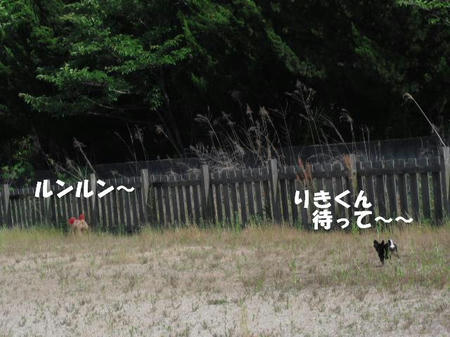 25b0a378.jpg