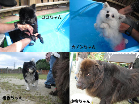 52c5df55.JPG