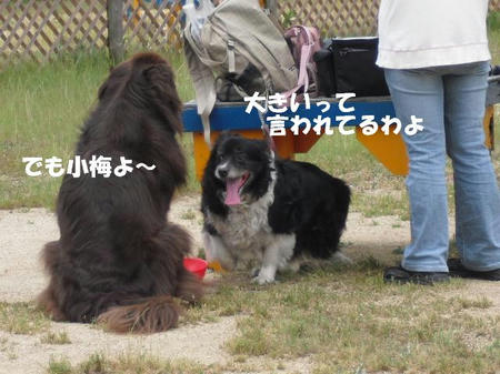 828276c5.jpg