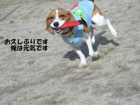 351dbd4b.jpg