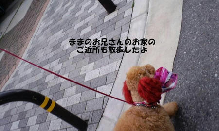 a73a1518.jpg