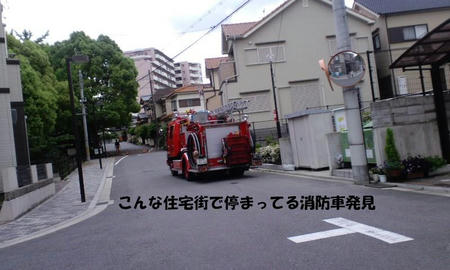 e4955fb5.jpg