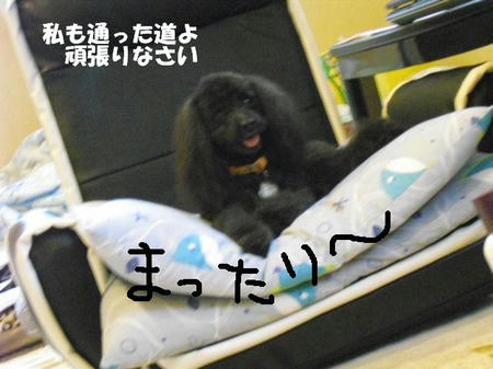 5ec5f1e7.jpg