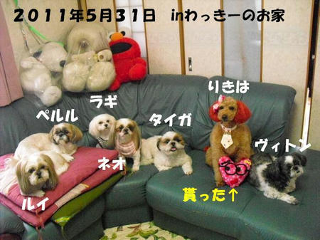 2425a233.jpg