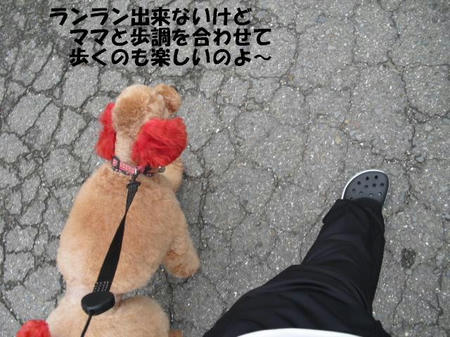 210a9909.jpg