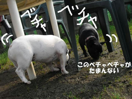 8f9cd9a3.jpg