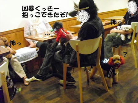 8b3a0f33.jpg