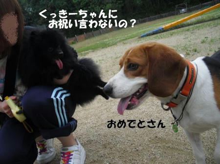 daa46a6f.jpg