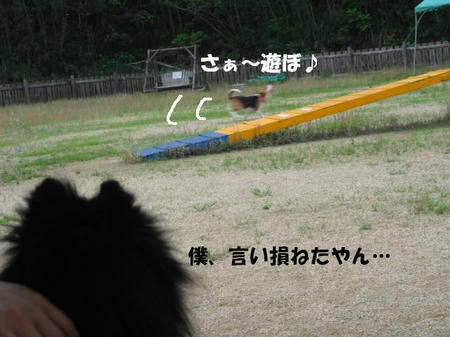 b31b8658.jpg