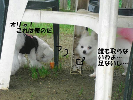 454944aa.jpg
