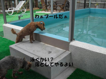 00105a0e.jpg