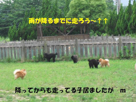 8b09045a.jpg