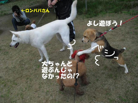 8d3731f1.jpg