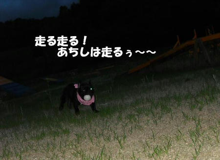 47070edf.JPG