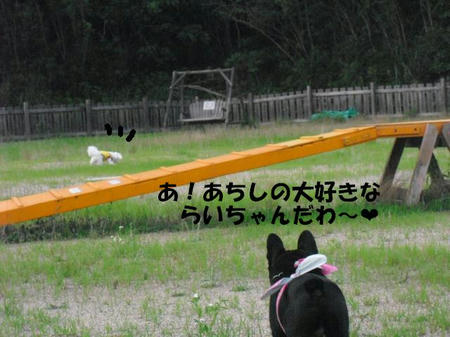 7f5e18e5.jpg
