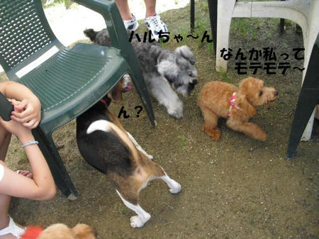 0e4b997f.jpg