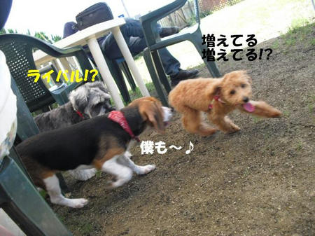 70d01bb9.jpg