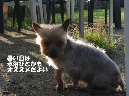 a874a40c.jpg