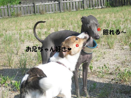 4b6fe30d.jpg