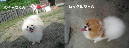 1479399e.JPG