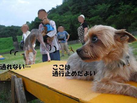 bd4b57f8.jpg