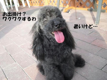 5a11a388.jpg