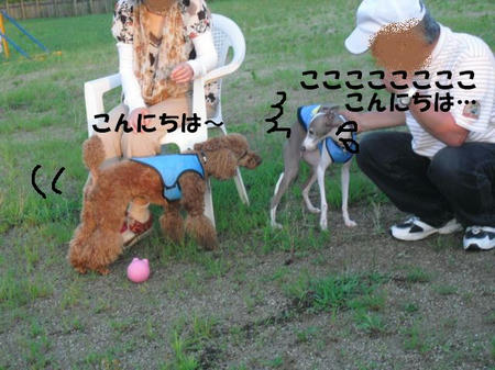 4f36972f.jpg