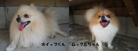 a5278c82.JPG