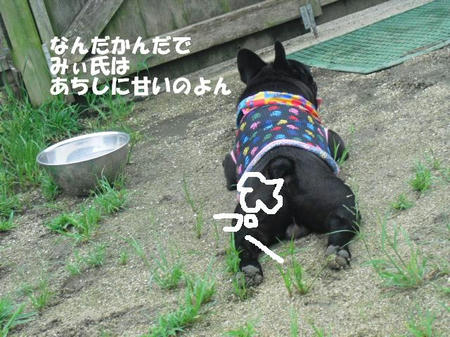 02fe06f5.jpg