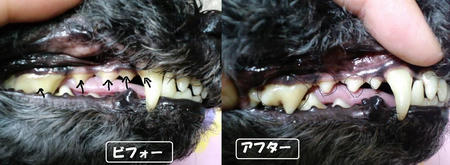 a65754d9.JPG