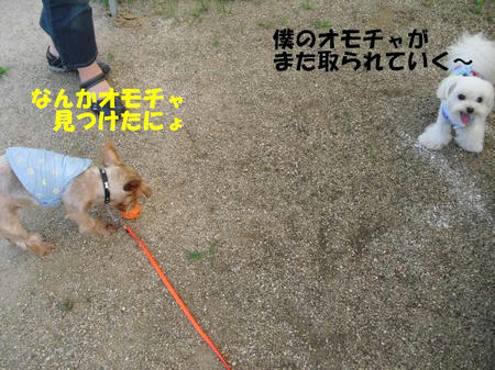 fe9f5f90.jpg