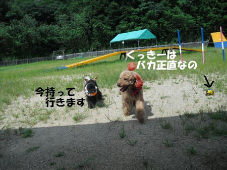 153a945f.jpg