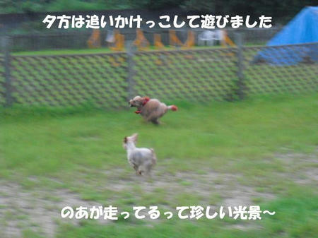 0a6ff90a.jpg